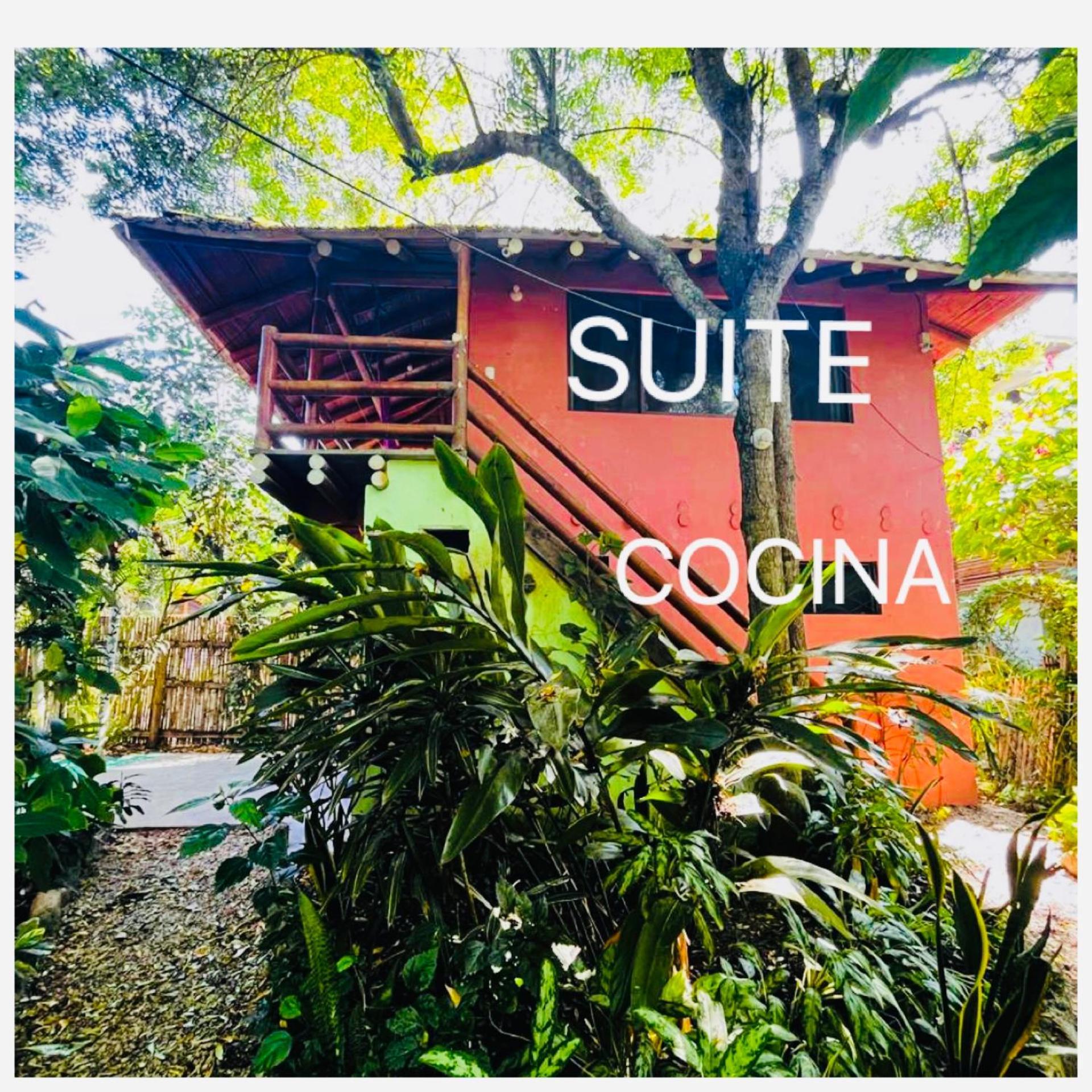 Itchimbia Garden Montana Y Mar Ayampe